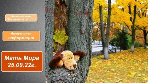 Не осень в нашей грусти виновата