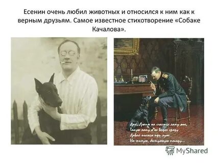 Есенин собака