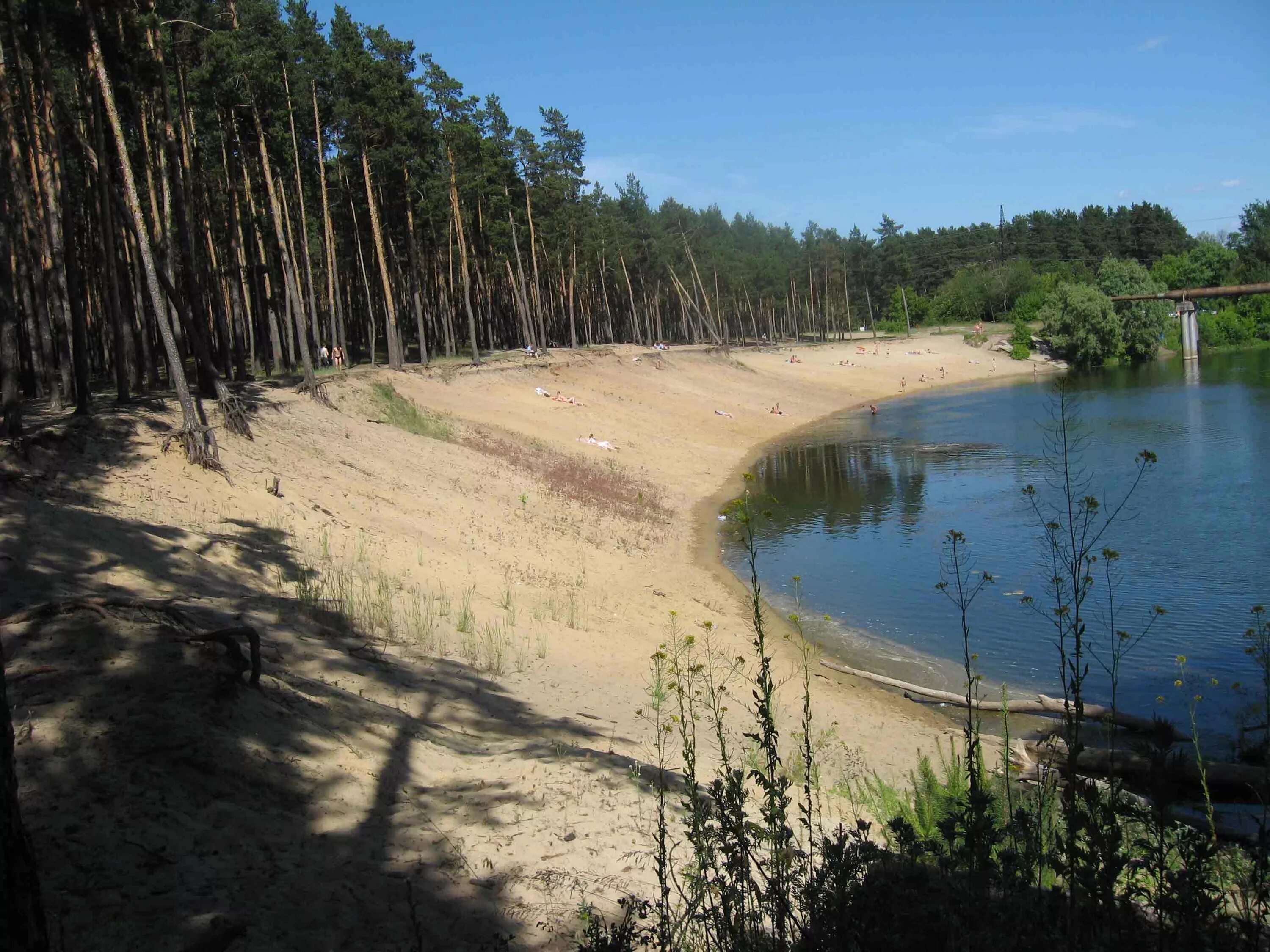 Курские водоемы