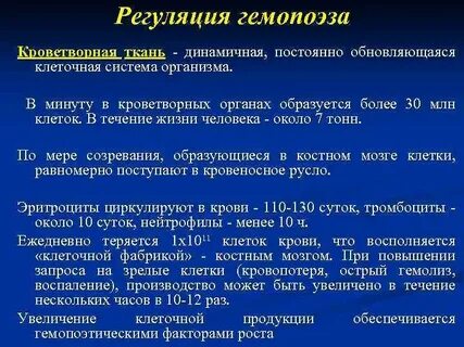 Регуляция кроветворения