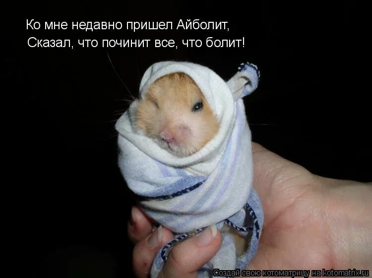 я тут недавно потеряла. я тут недавно тебя вспомнил стих текст. песня я тут недавно потеряла 3 зуб. стихотворные подводки к выпускному в детском саду. я тут недавно потеряла.