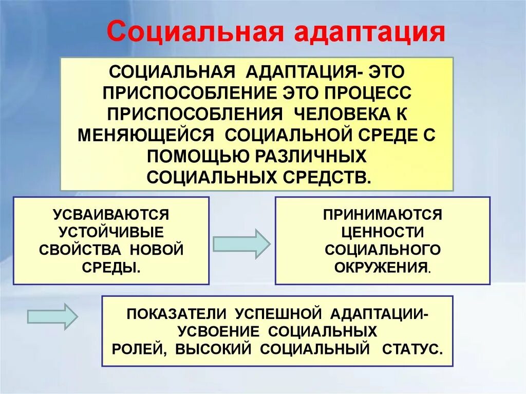 Социальные статусы огэ. Социальная структура, социальные статусы и роли. Элементы социального статуса. Социальная структура общества социальные статусы и роли. Связь социальных статусов и ролей.