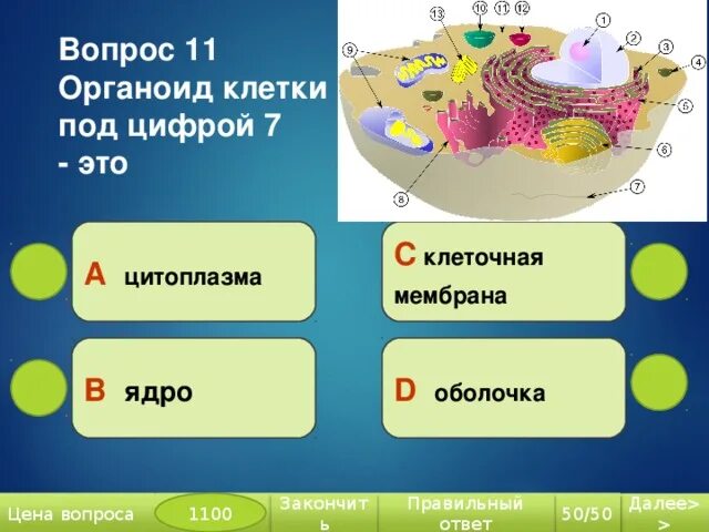 На рисунке изображен органоид клетки. Органоиды клетки. Самый важный органоид клетки. 5 Органоидов клетки. Органоиды клетки 5 класс биология.