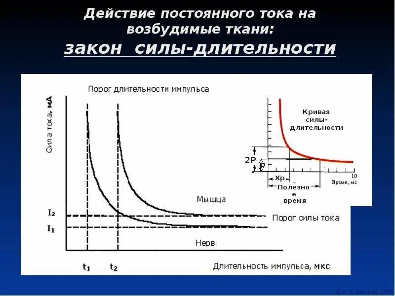 Мембрана возбудимой клетки. Деполяризация мембраны возбудимой клетки. График мембранного потенциала возбудимой клетки. Эквивалентная электрическая схема возбудимой мембраны. Закон силы возбудимых тканей на графике.