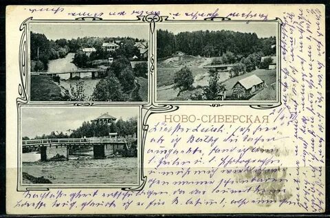 Александровская сиверская