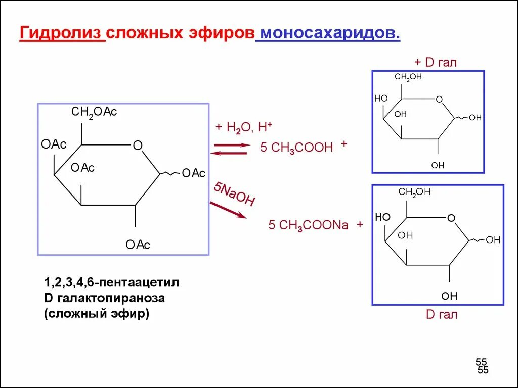 Гидролиз эфиров в кислой среде. Гидролиз сложных эфиров моносахаридов. Гидролиз пентаацетил глюкопиранозы. Гидролиз пентаацетил Альфа д глюкопираноза. Гидролиз моносахарида.