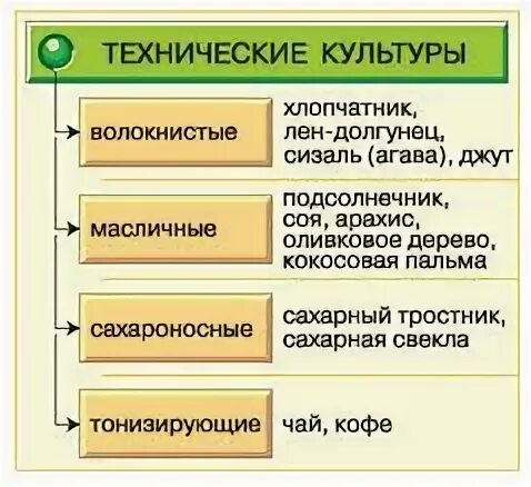 Технические культуры страны