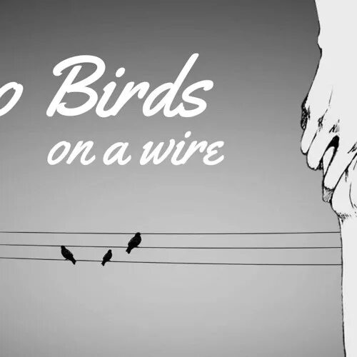Two Birds on a wire. Two Birds Regina Spektor. Песня two Birds. Regina spektor two birds