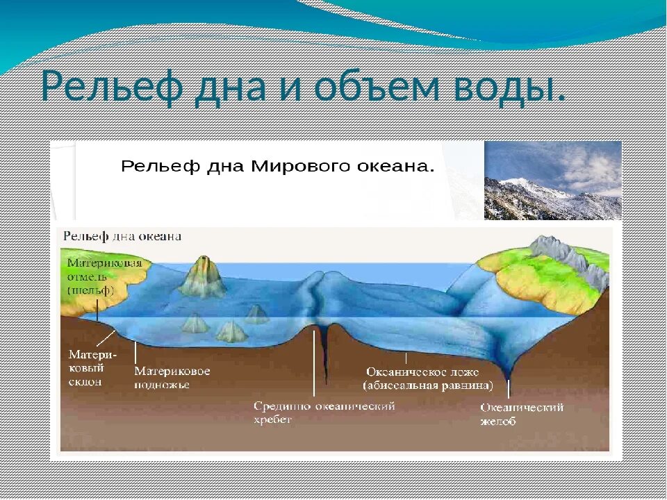 Основные формы рельефа океана. Основные формы рельефа океана
