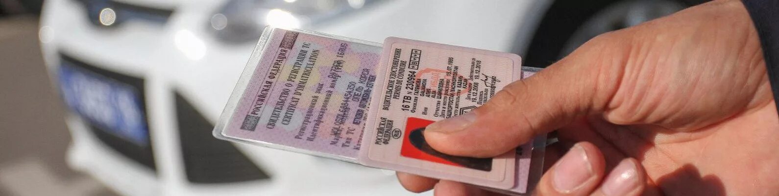 Правительство правильно продлило действие водительских прав, считают в ЛДПР