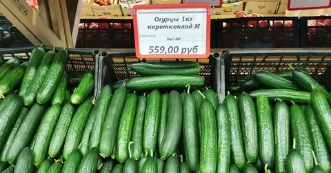 Сколько стоят огурцы за кг