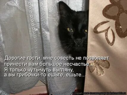 Гости дорогие слушать
