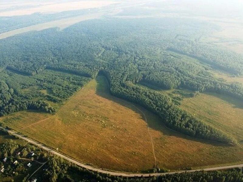 Участок тарусский. Заклятой лес Тарусский район. Веселево красивая земля. Таруса Заокский район. Веселево Тульская область.