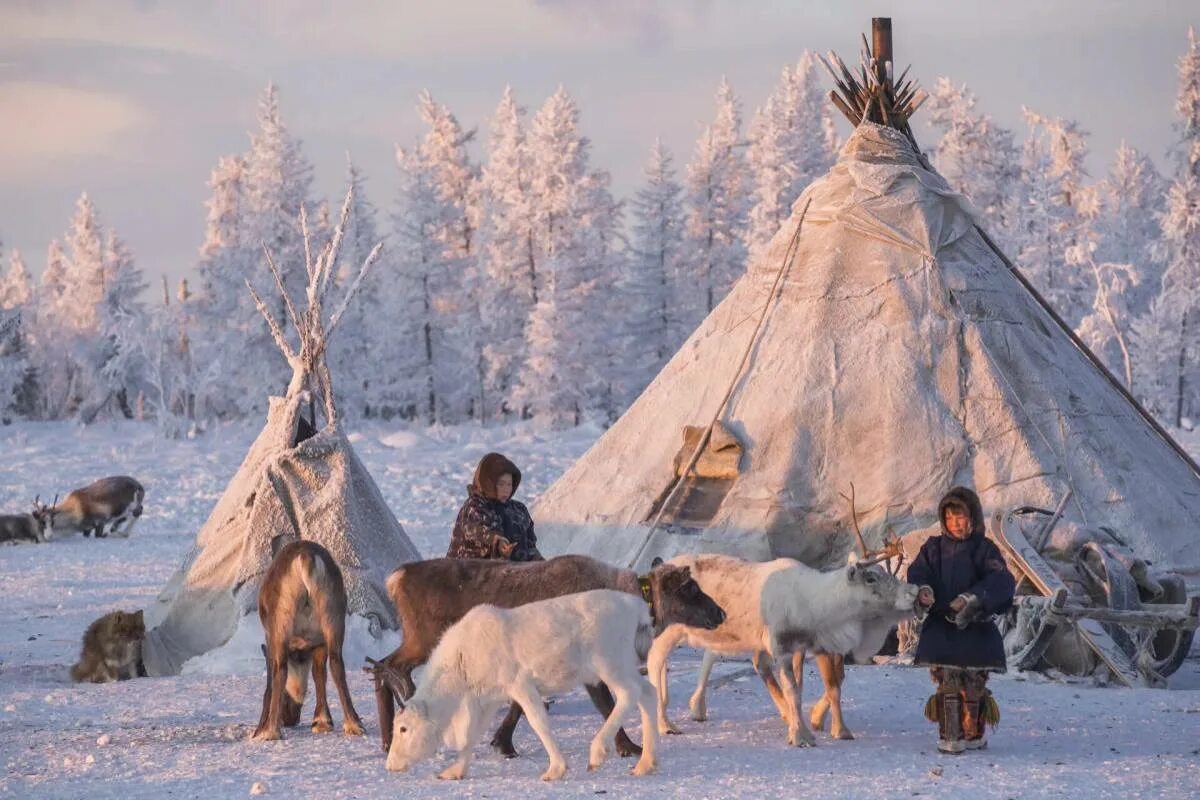 Народы крайнего севера сибири