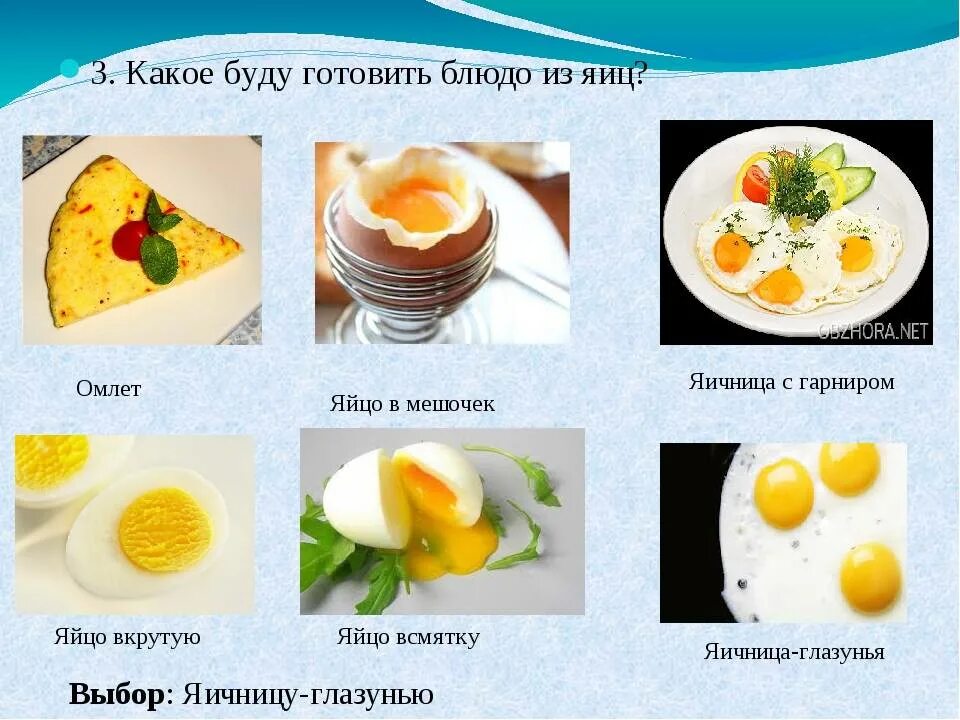 Блюда из яиц названия. Виды приготовления яиц. Приготовление блюд из яиц. Название всех блюд из яиц.