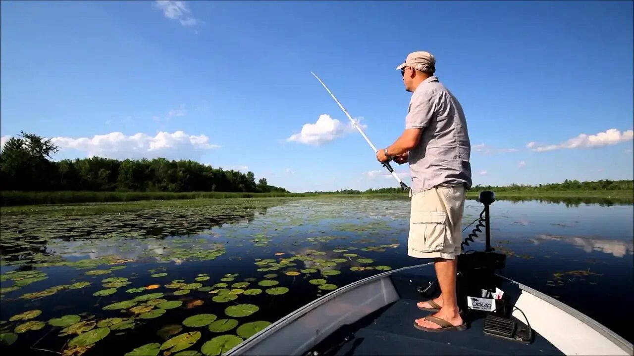 Rod Fish Bass. Целево фишинг. Картинки рыбалка бэйткастинг. Fishing what is it.