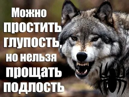 Подлость друзей