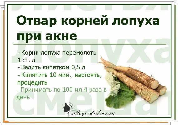 Напиться корень. Лопух корень. Корень лопуха при диабете. Корень лопуха при диабете 2 типа. Корень лопуха сушеный.