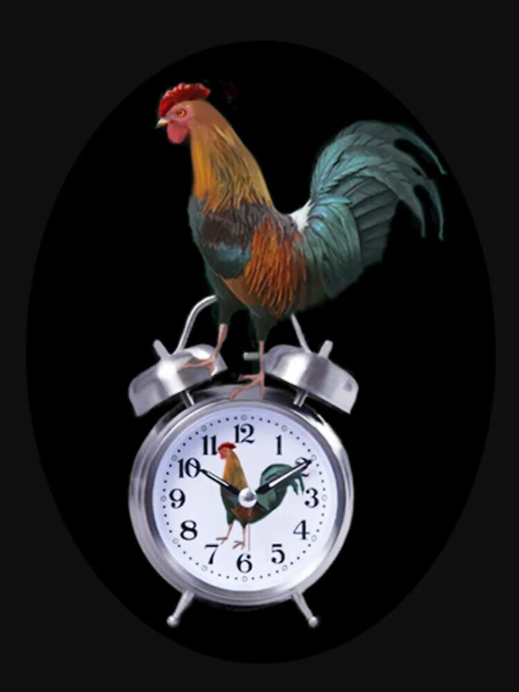 Доброе утро петушок. Доброе утро с петушком. Little rooster будильник. Будильник петух слушать. Будильник петушок.