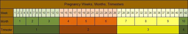 46 дней в неделях. Приспособление для подсчета дней недель. Приспособление считать дни недели месяцы. Приспособление которое поможет считать дни недели месяцы в году. Приспособление для подсчета дней недель месяцев на необитаемом.