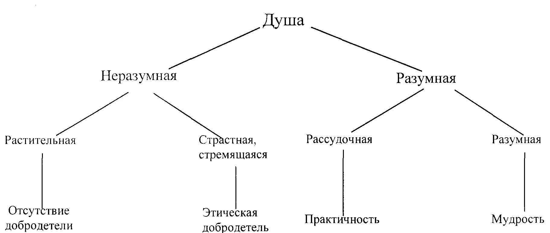 Философия Аристотеля схема. Учение о душе Аристотеля схема. Три типа души по Аристотелю. Структура души по Аристотелю.