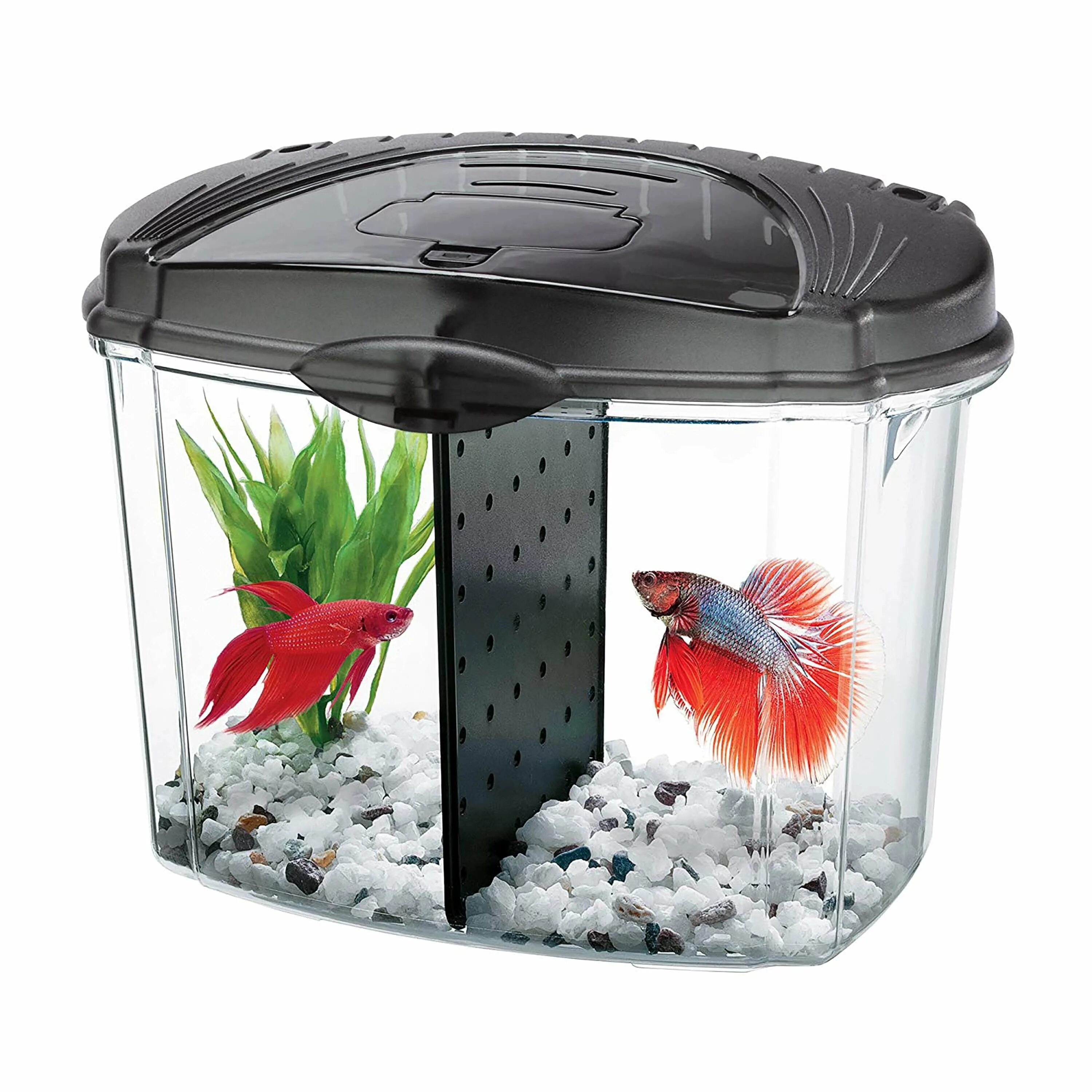 Аквариумы Aqueon 2 Gallon Betta Falls Aquarium Kit. Аквариум Box Betta 1.3. Комплект Aqueon Betta Falls. Аквариум Double Tank Kit. Фильтр для аквариума для петушка