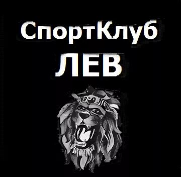 Клуб Лев. Спортивный клуб Лев Елизаветинская. Стальной Лев. Клуб Лев толстой Москва. Игровой клуб лев slovonevorobey