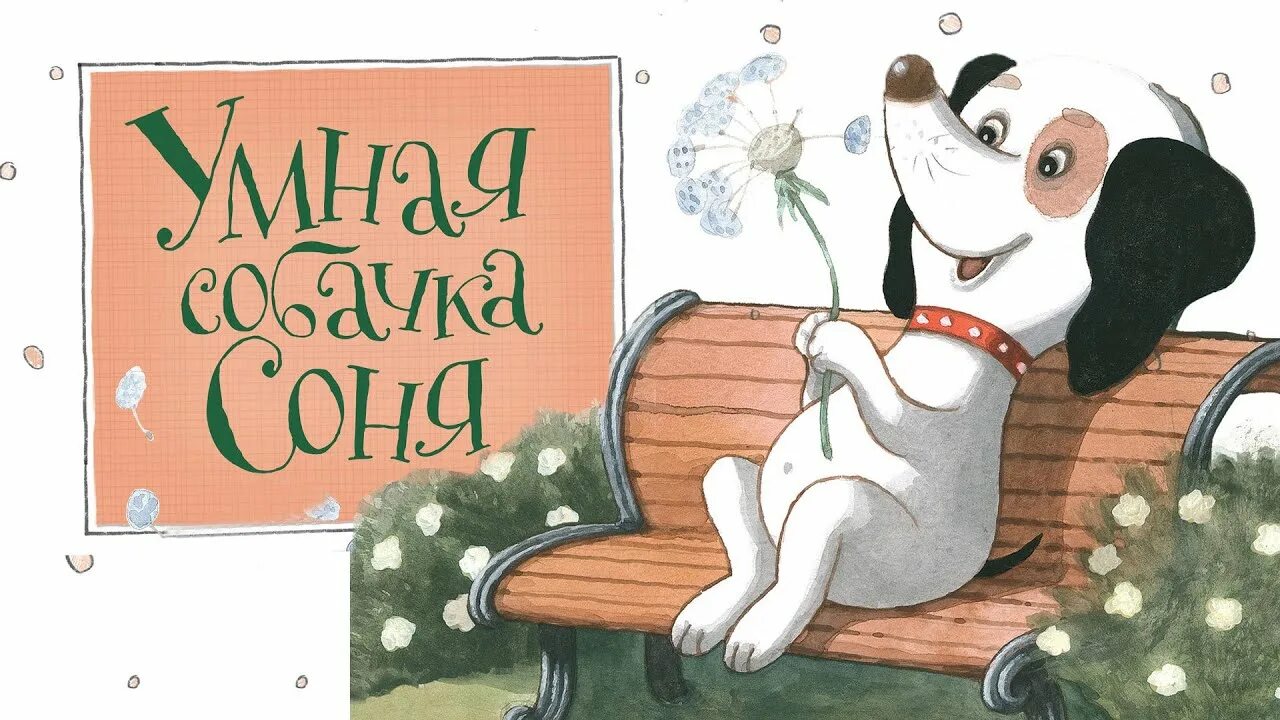 Слушать сказку про умную соню. Слушать сказку про умную соню