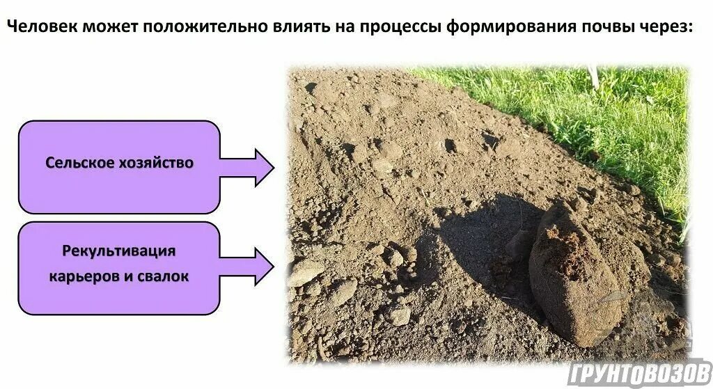 Как человек влияет на почву кратко. Влияние человека на почвообразование. почвы деятельности. влияние почвообразующих факторов на почву. деятельность человека на почву.