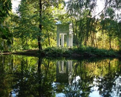 Пикник елагин