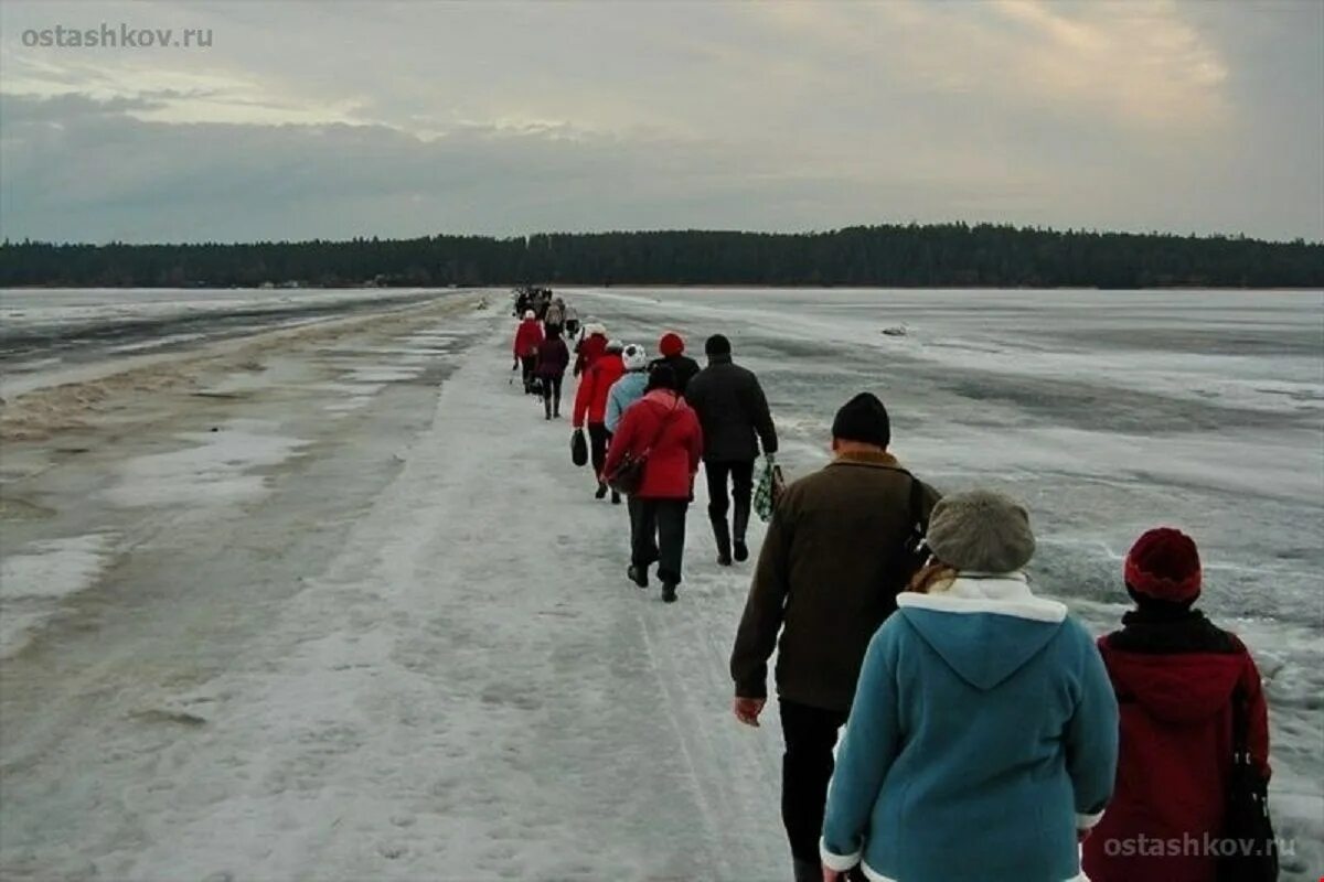 Остров Городомля на Селигере. Озеро Селигер Городомля. Зато Солнечный Селигер. Осташков остров Городомля.