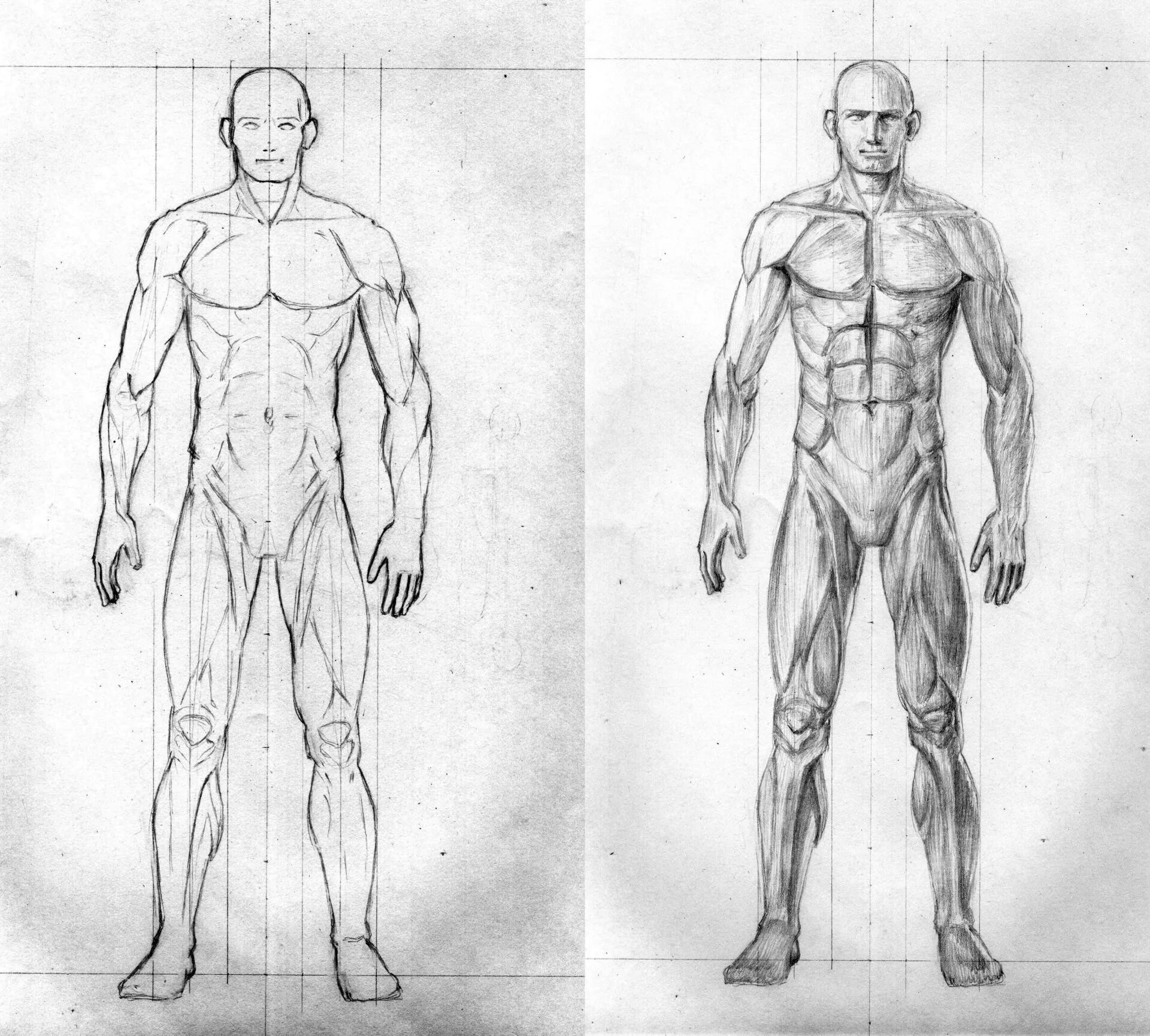 Схема человека. Человек в полный рост анатомия. Тело человека карандашом. Рисунок тела человека в полный рост. Пропорции тела мужчины для рисования.