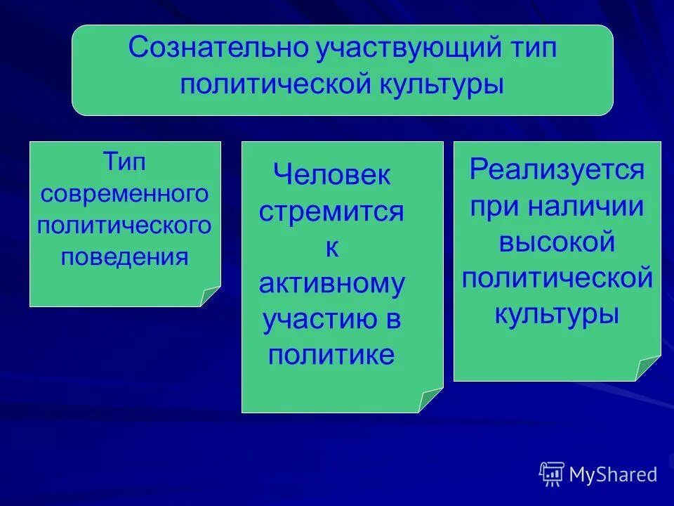 Политический человек липсета. Типы политического участия. Участвующий тип. Участвующий тип. Типы участников заседаний.