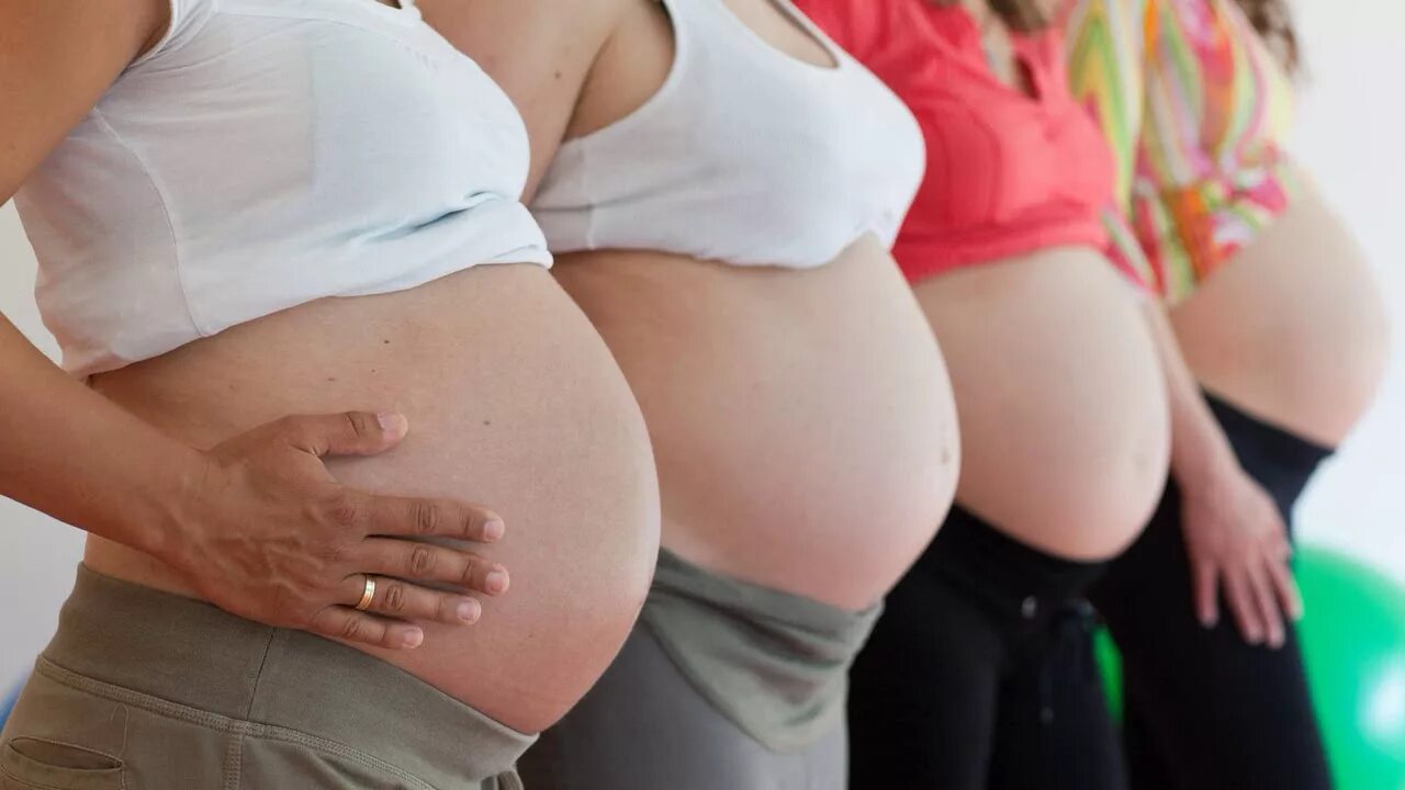 Беременность у полных девушек. Беременный живот у полных женщин. three pregnant women. беременные компания. одна среди беременных.