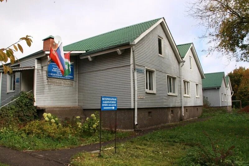 мытищи 126 участок мытищинский район судебный. расписания работы мирового судьи. 347 судебный участок мирового судьи мытищи. мировой суд реутов. 349 судебный участок мытищи.