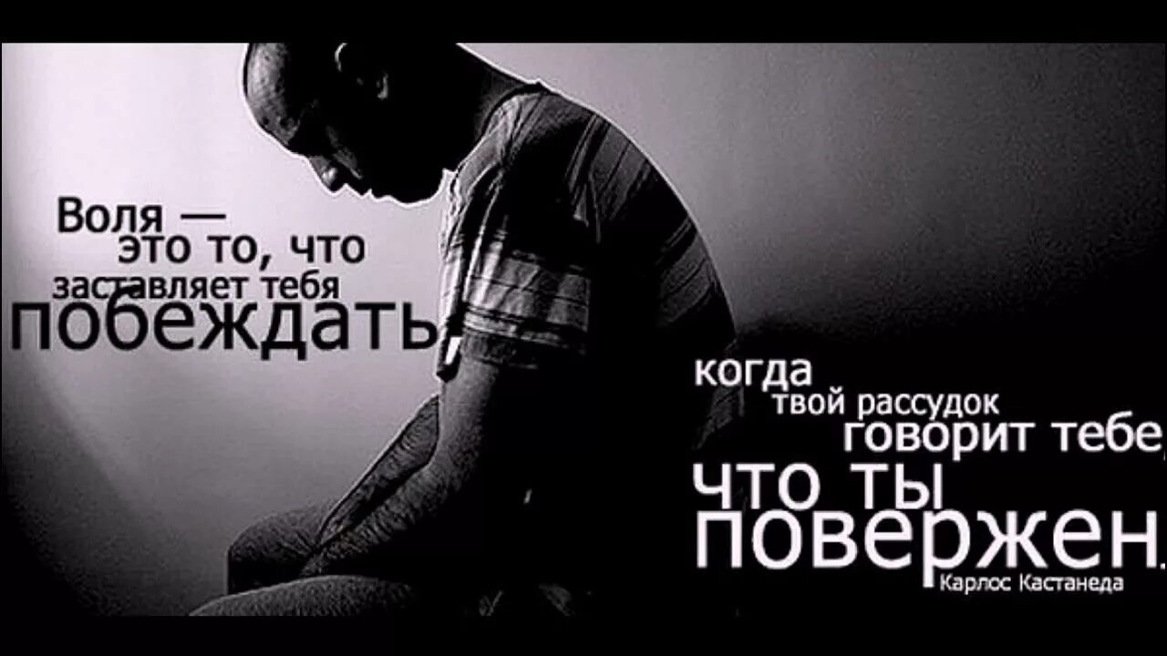 Я повержен ты довольна. Воля демотиватор. Воля это то что заставляет тебя. Терраформирование аниме адольф. Павел пламенев группа.