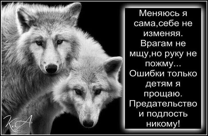 Тест благородные и подлые. Цитаты про подлость и предательство. подлые люди цитаты. высказывания о подлости и предательстве. статусы про предательство.