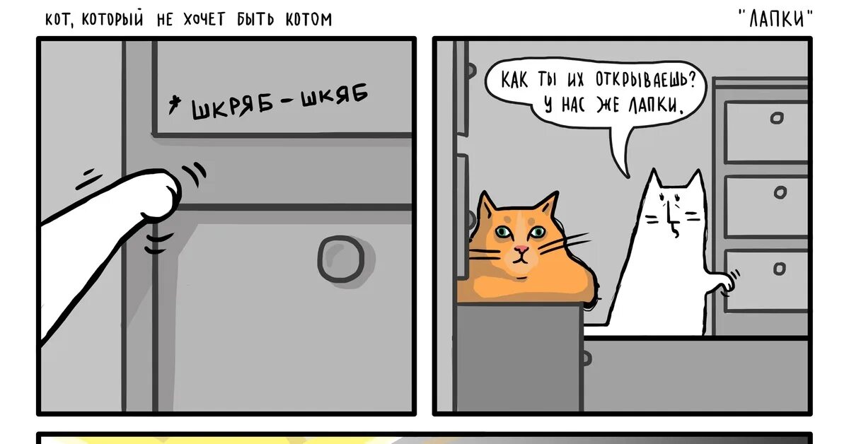 Быть котиком 6
