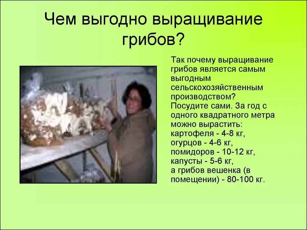Что называется грибоводством
