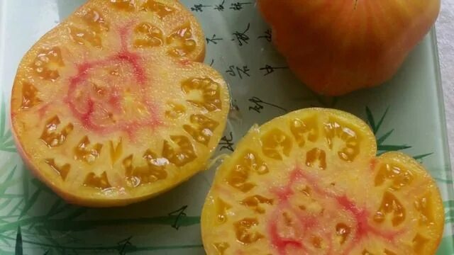 Сорт томата загадка природы фото и описание