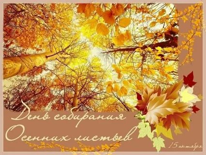 День собирания листьев 15 октября