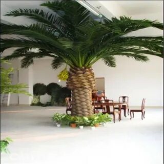 Plant ltd