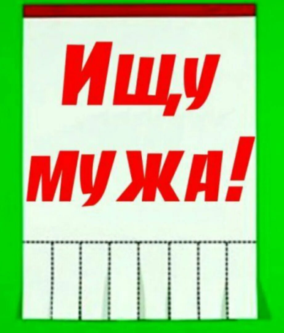 Ищу мужа. Ищу мужа надпись. Ищу мужа шутки. Объявление ищу мужа прикольные. Объявление ищу мужа