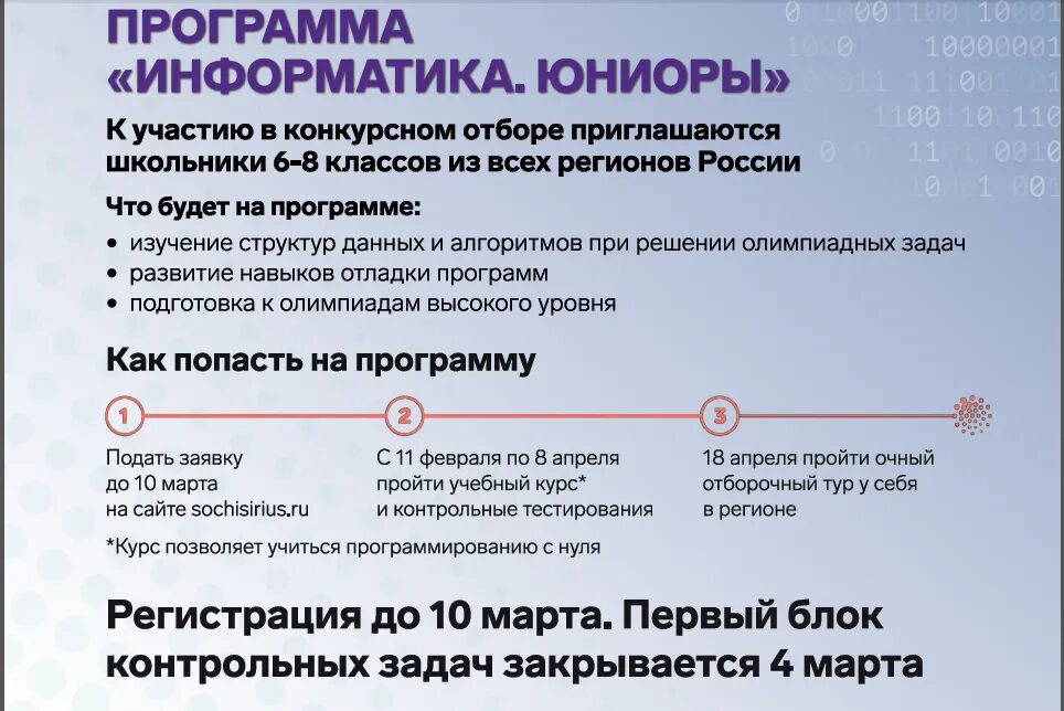 Образовательная программа «Информатика.Юниоры». Сириус Информатика Юниоры. Образовательная программа Информатика Сириус. Сириус информатика 2024