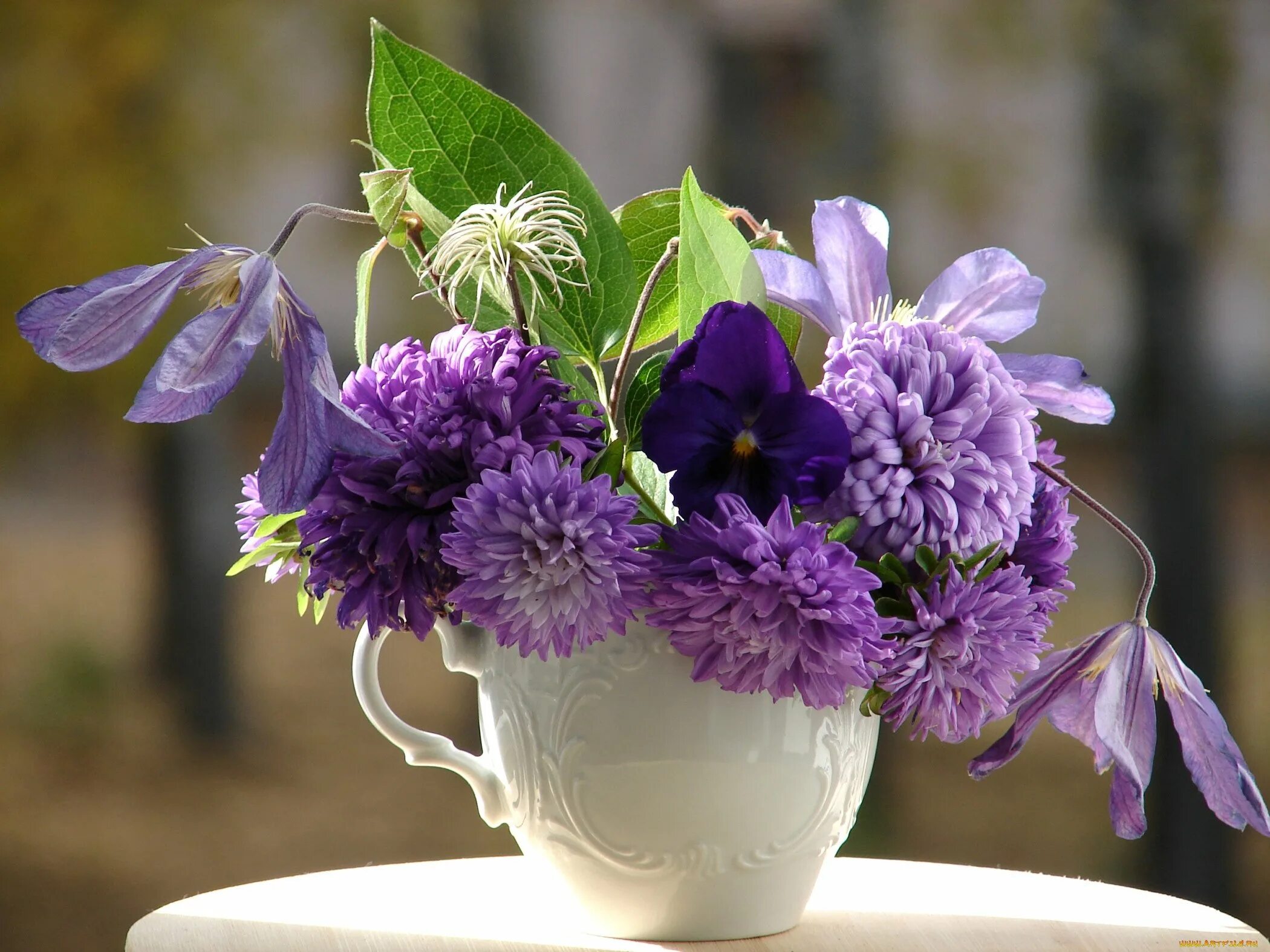 Цветы утром картинки. Осенние цветы фиолетовые. Фиолетовое утро. Букет фиолетовых астр в вазе. Астры в чашке.