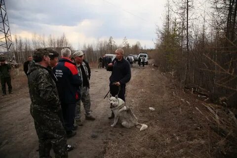 Белых поймали