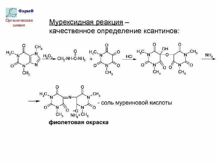 Барбитал мурексидная реакция. Мурексидная проба реакция мочевая кислота. Кофеин мурексидная проба реакция. Мурексидная проба на теофиллин реакция.