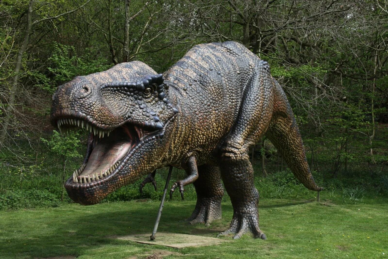 Крупнейший хищник на земле. Динозавры. Динозавры настоящие. Динозавры хищники. Необычные динозавры.
