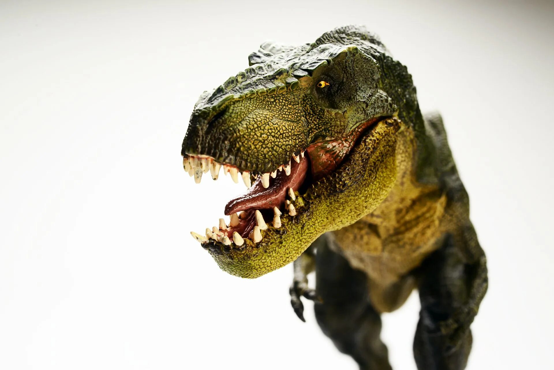Динозавр 4. Тираннозавр рекс. динозавр &quot;тиранозавр рекс&quot;. t rex 4k. tyrannosaurus rex, zoologist perfumes («тираннозавр рекс»).