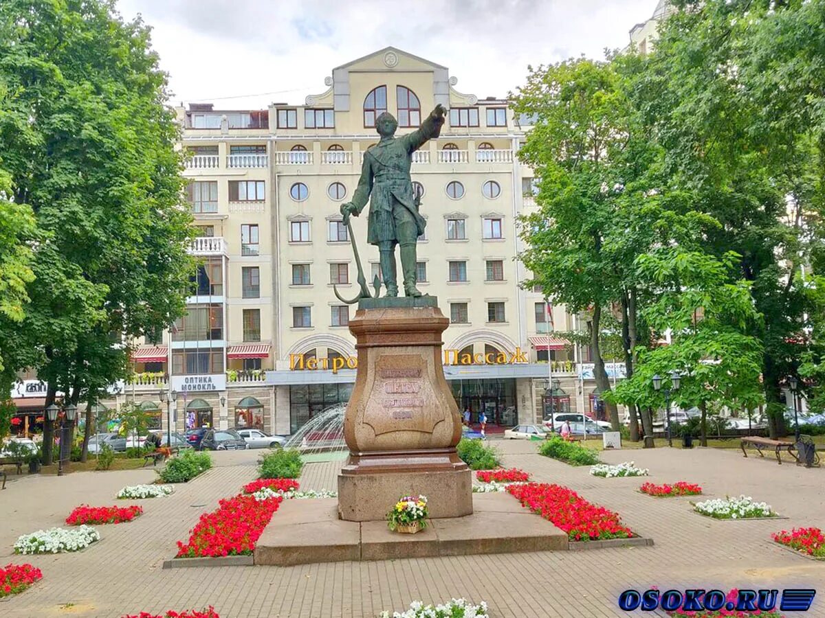 Петровский сквер Воронеж. Проспект революции Петровский сквер. Достопримечательности города Воронеж Петровский сквер. Петровский сквер Воронеж памятник. Исторические памятники воронежа